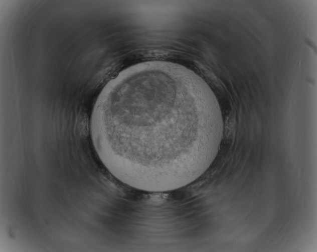 X0000091910474200710031022