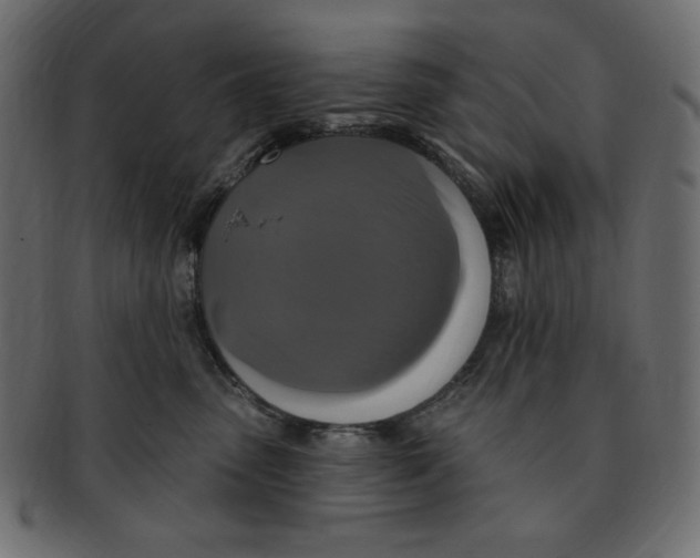 X0000091910475200710031022