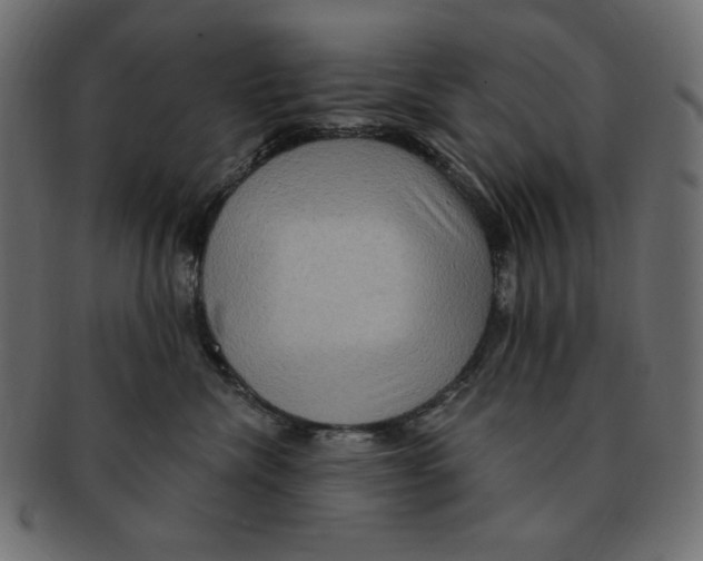 X0000091910476200710031022