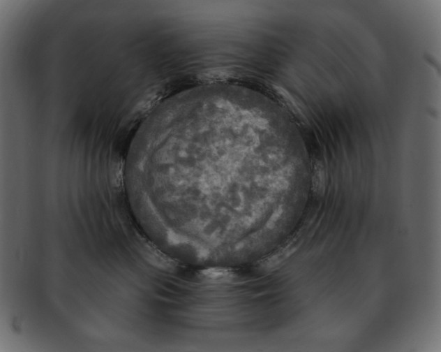 X0000091910477200710031022