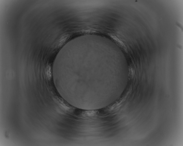 X0000091910479200710031022