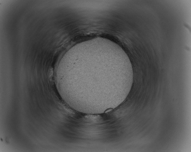 X0000091910480200710031022