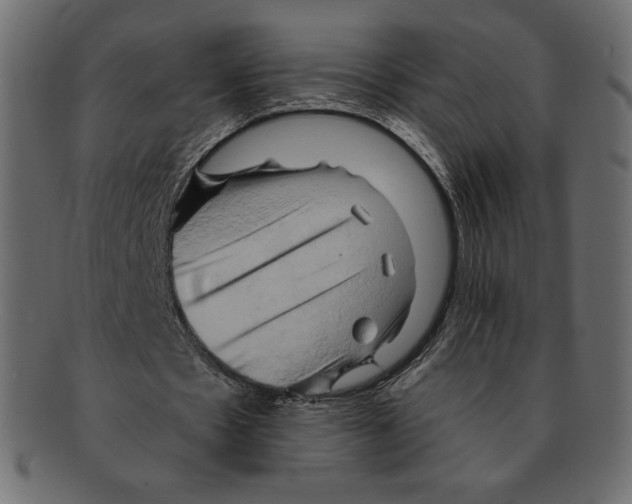 X0000091910481200710031022