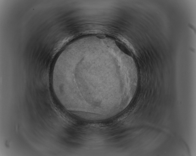 X0000091910482200710031022