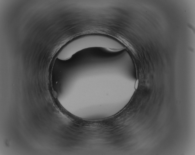 X0000091910485200710031022