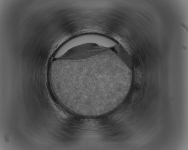 X0000091910486200710031022