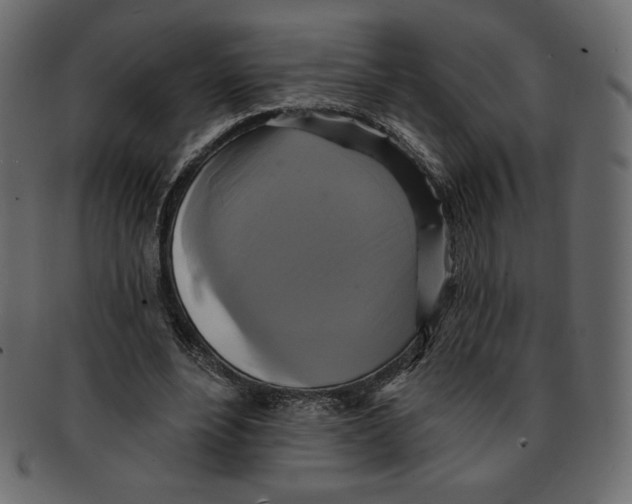 X0000091910488200710031022