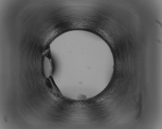 X0000091910489200710031022