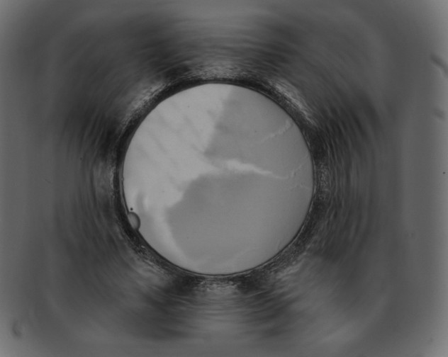 X0000091910491200710031022