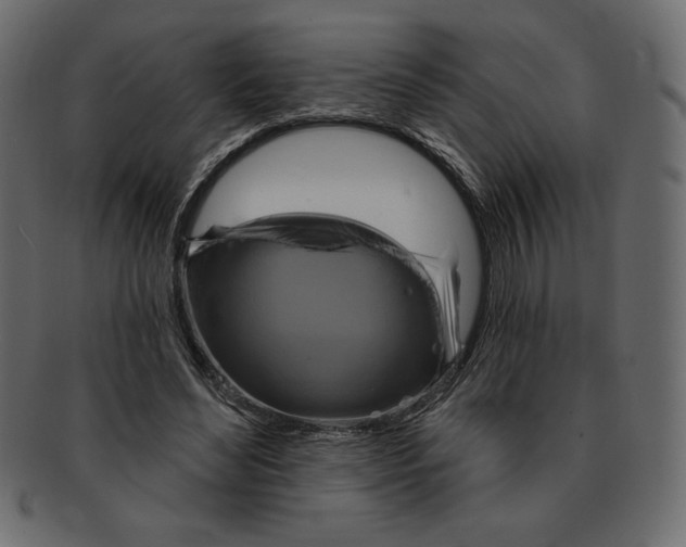 X0000091910492200710031021