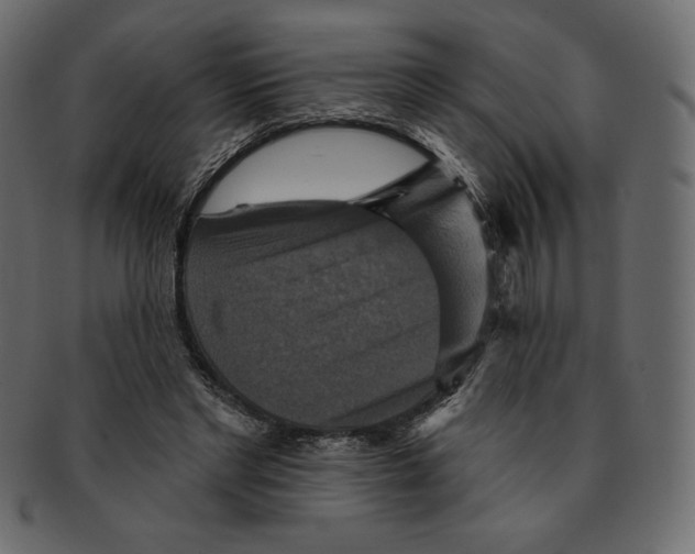 X0000091910493200710031021