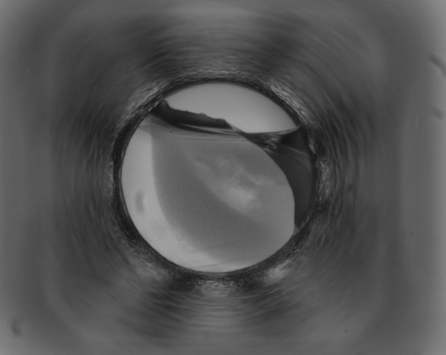 X0000091910494200710031021