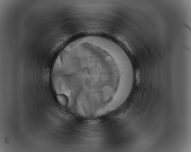 X0000091910495200710031021