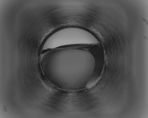 X0000091910496200710031021