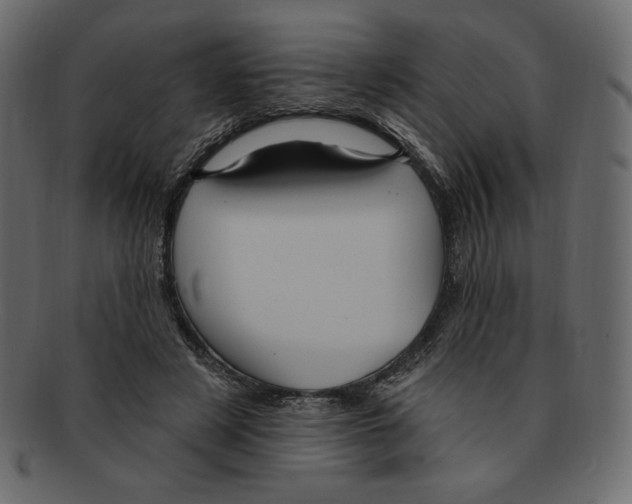 X0000091910497200710031021