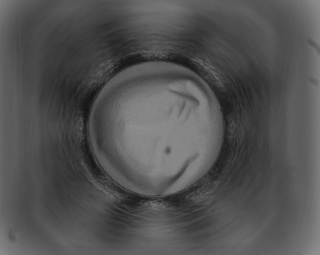 X0000091910498200710031021