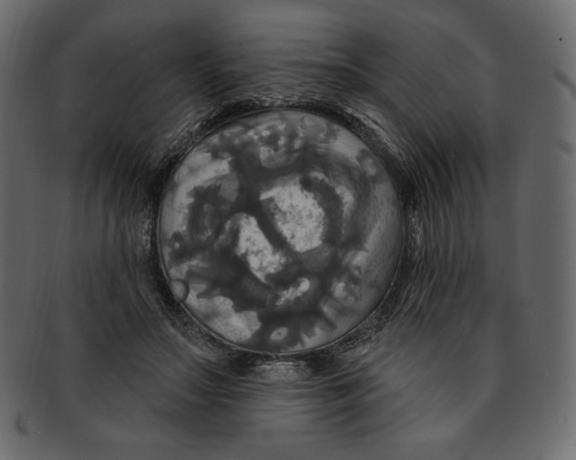 X0000091910499200710031021