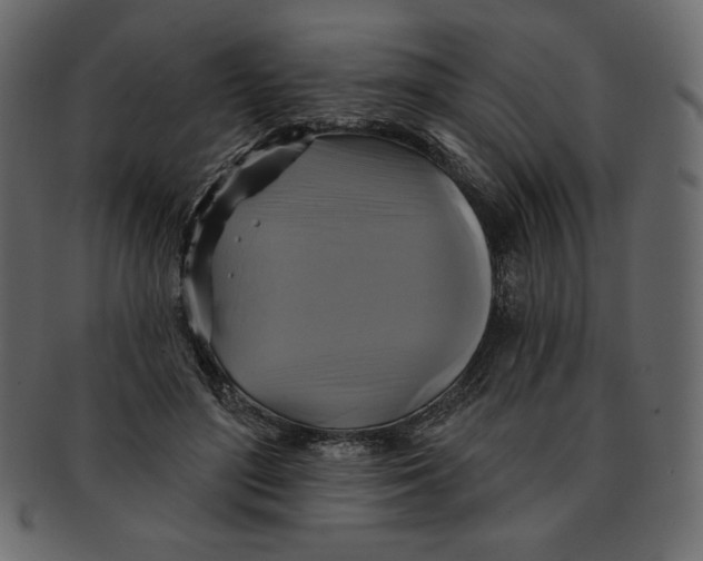 X0000091910500200710031021