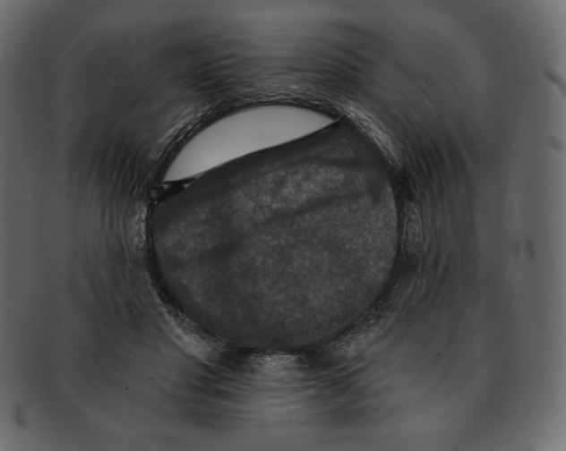 X0000091910501200710031021