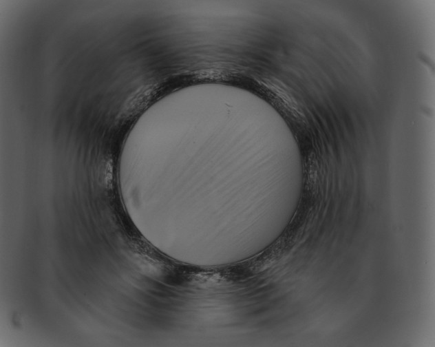 X0000091910502200710031021