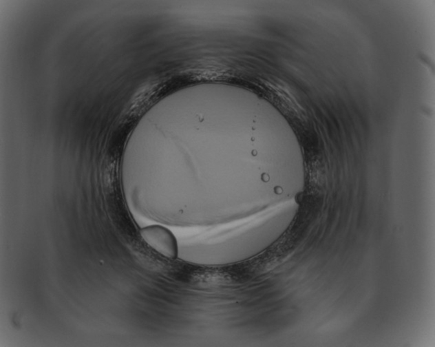 X0000091910503200710031021