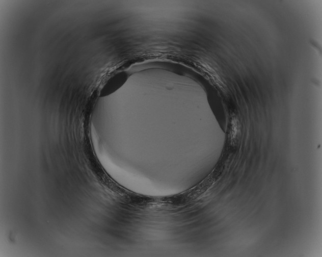 X0000091910504200710031021