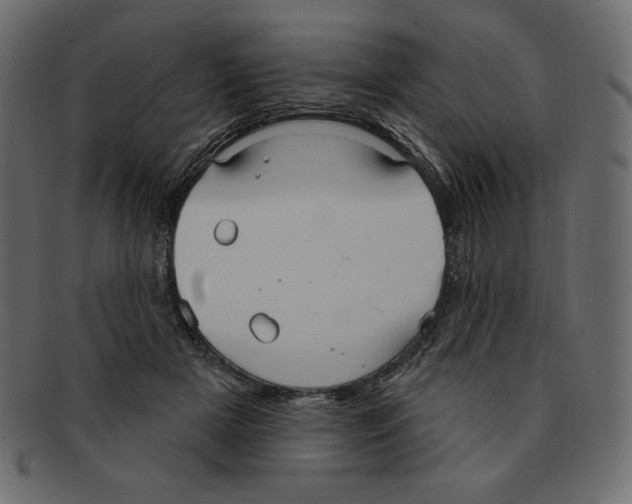 X0000091910505200710031021