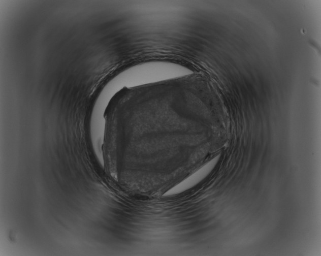 X0000091910508200710031021