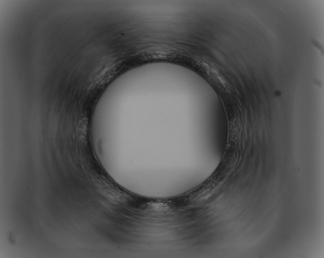 X0000091910509200710031021