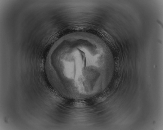 X0000091910510200710031021