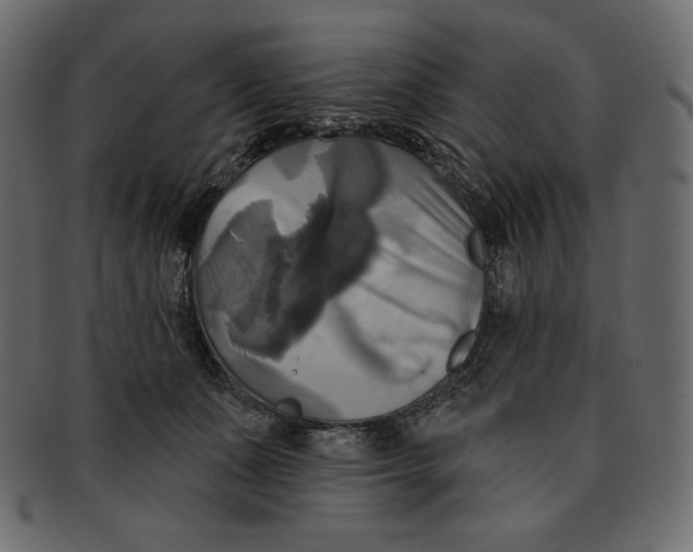 X0000091910511200710031021