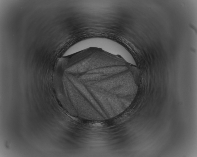 X0000091910513200710031021