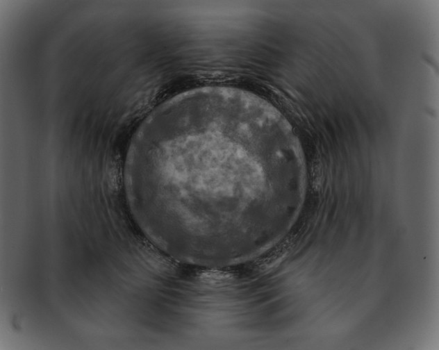 X0000091910515200710031021