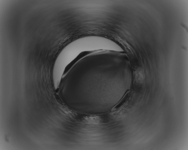 X0000091910517200710031021