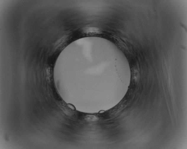 X0000091910519200710031021