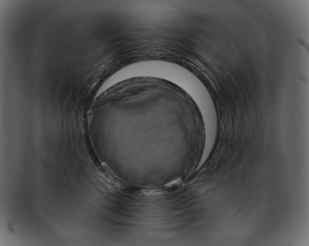 X0000091910520200710031021