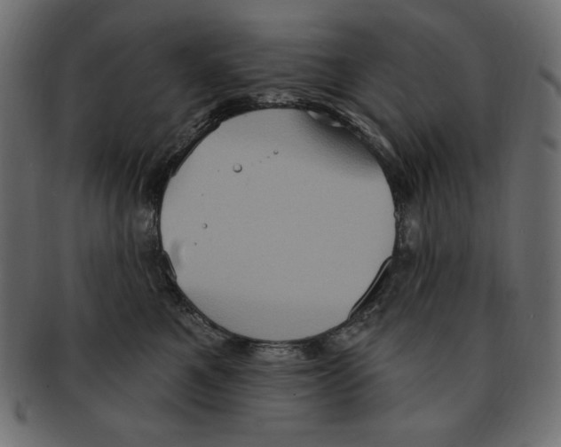 X0000091910521200710031021