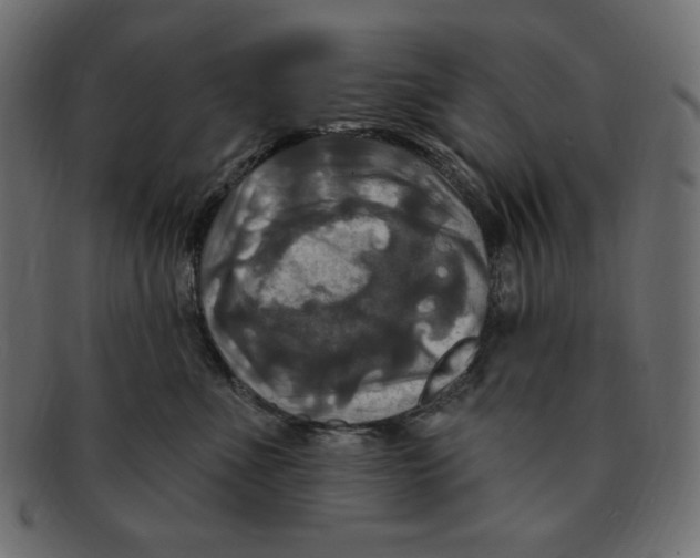 X0000091910523200710031021