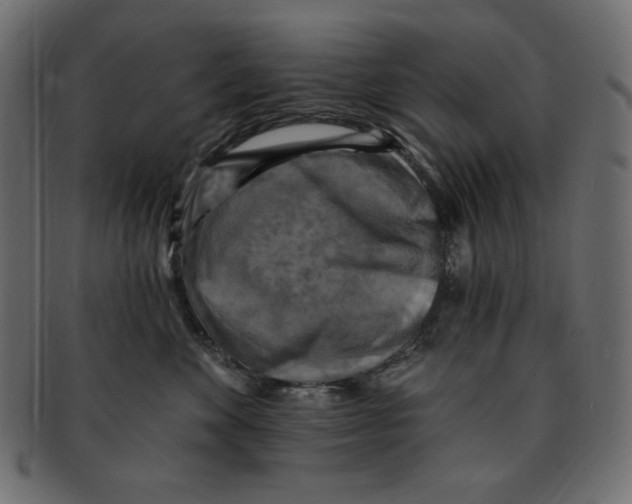 X0000091910524200710031021