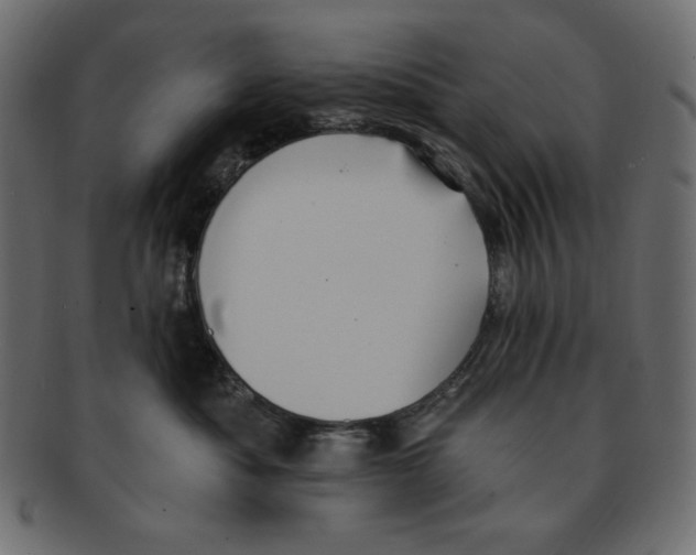 X0000091910525200710031021