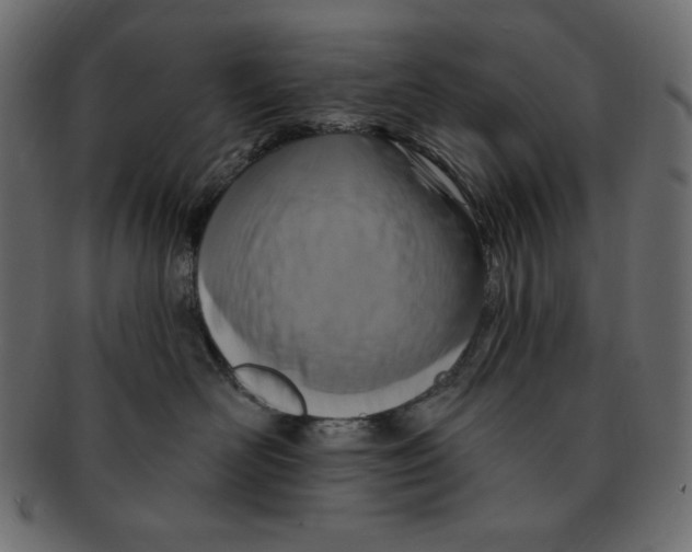 X0000091910526200710031021