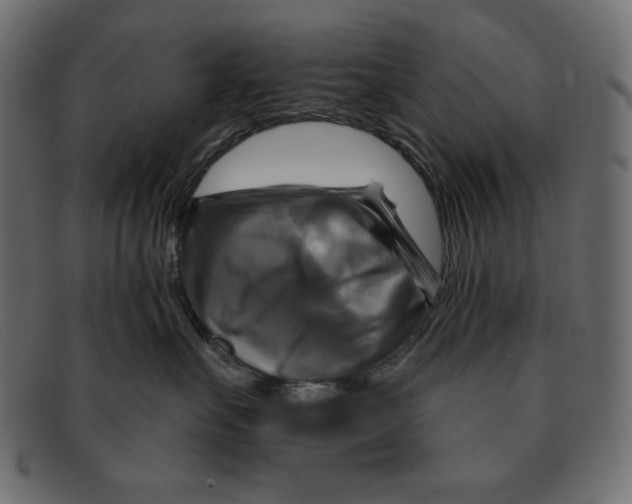 X0000091910527200710031021