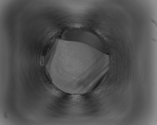 X0000091910528200710031021