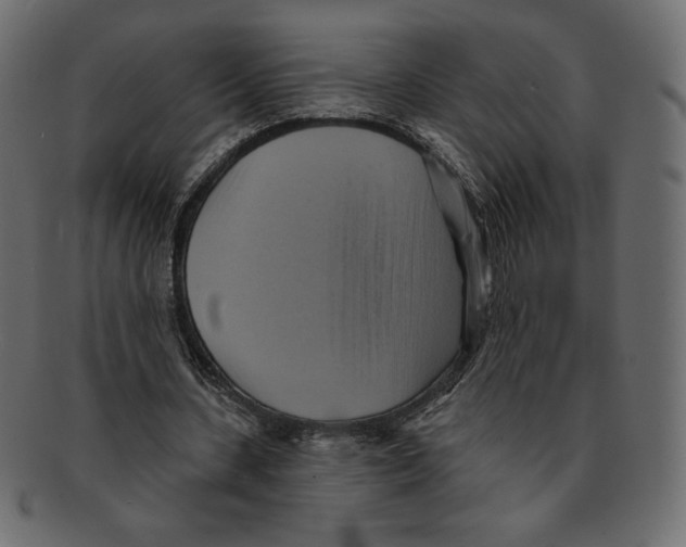 X0000091910531200710031021