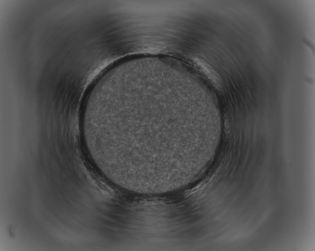 X0000091910532200710031021