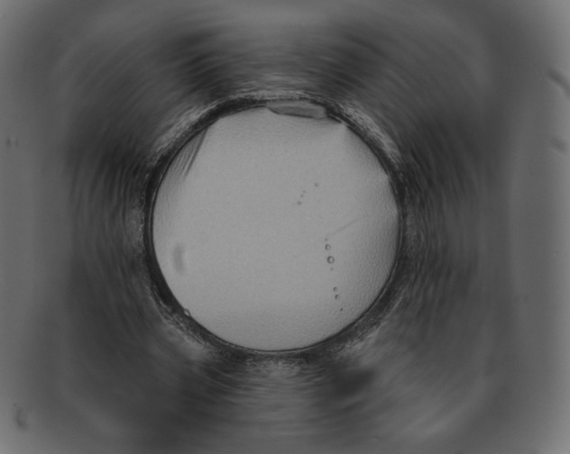 X0000091910533200710031021