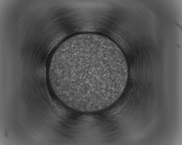 X0000091910534200710031021