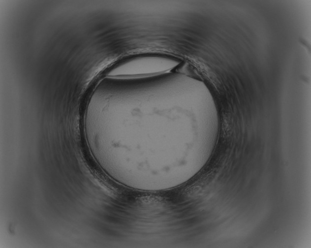 X0000091910535200710031021