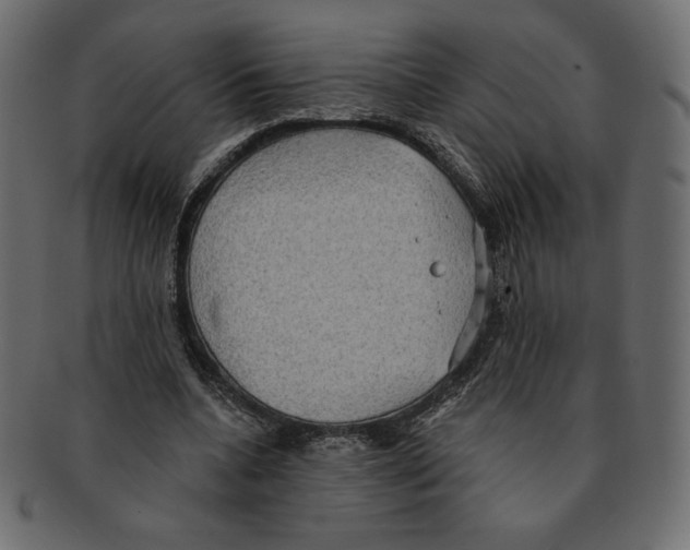 X0000091910536200710031021