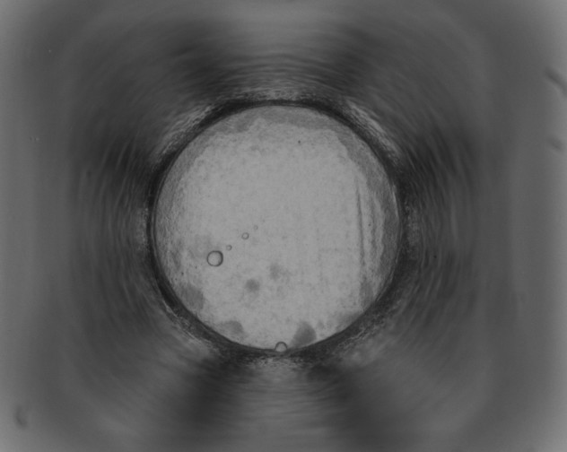 X0000091910537200710031021